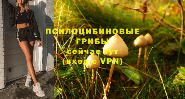 соль ск Балабаново
