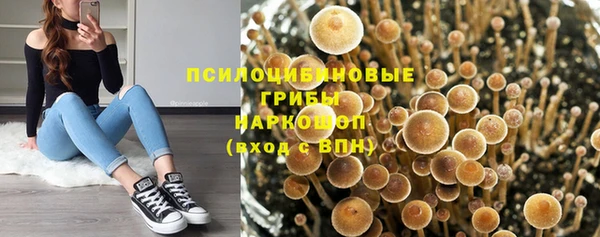соль ск Балабаново