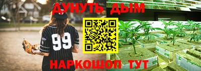 индика Апрелевка