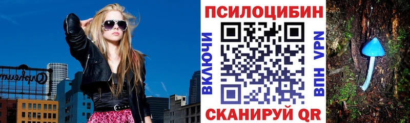 Псилоцибиновые грибы Cubensis  Бирск 