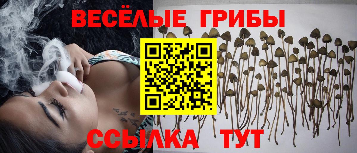 Бирск  Псилоцибиновые грибы ЛСД  Вход с VPN 